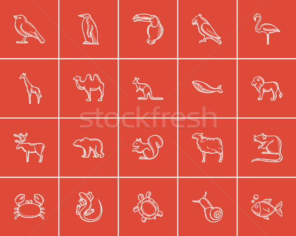 Animals sketch icon set. Stock photo © RAStudio