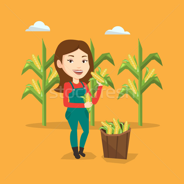 Farmer collecting corn vector illustration. Stock photo © RAStudio