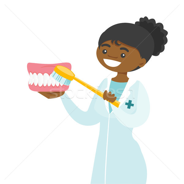 молодые стоматолога очистки челюсть модель зубная щетка Сток-фото © RAStudio
