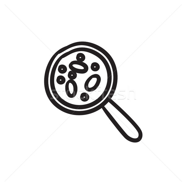 Microorganisms under magnifier sketch icon. Stock photo © RAStudio