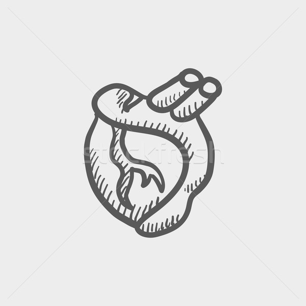 Human heart sketch icon Stock photo © RAStudio