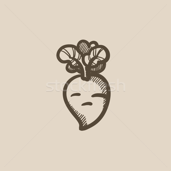 Beet sketch icon. Stock photo © RAStudio