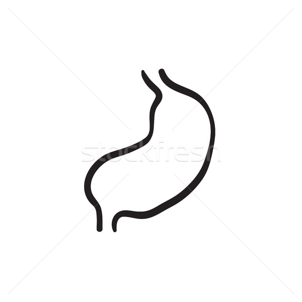 Stomach sketch icon. Stock photo © RAStudio