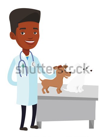 Veterinarian examining dogs vector illustration. Stock photo © RAStudio