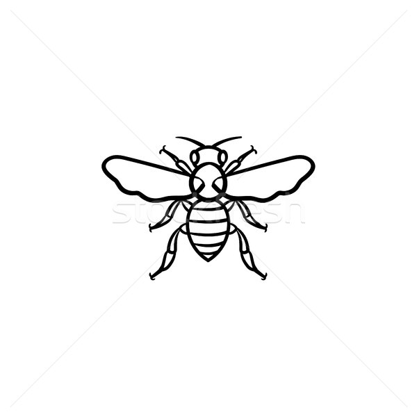Bee hand drawn sketch icon. Stock photo © RAStudio