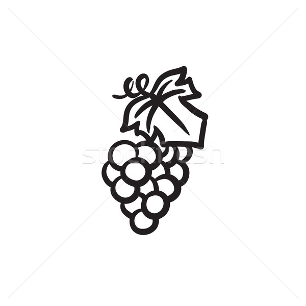 Grape sketch icon. Stock photo © RAStudio