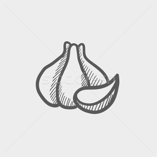 Stock photo: Garlic sketch icon