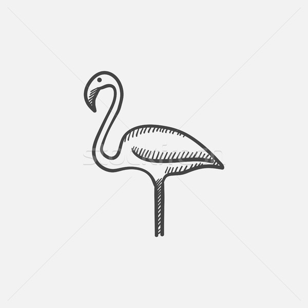 Flamingo sketch icona web mobile infografica Foto d'archivio © RAStudio