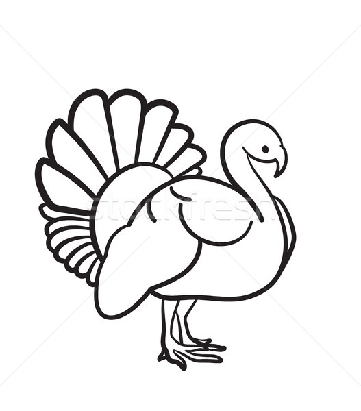 Thanksgiving day turkey hand drawn sketch icon. Stock photo © RAStudio