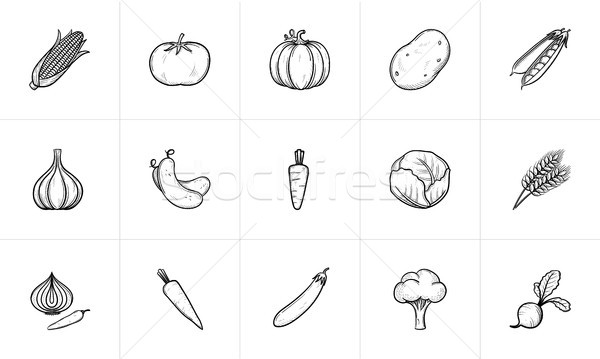 Mezőgazdaság étel rajz ikon gyűjtemény háló mobil Stock fotó © RAStudio