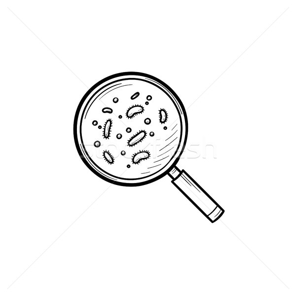 Bacteria under magnifying glass hand drawn outline doodle icon. Stock photo © RAStudio