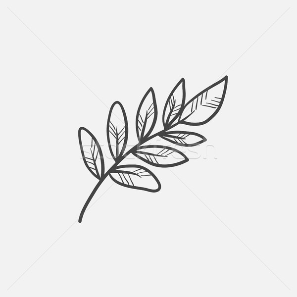 [[stock_photo]]: Palm · branche · croquis · icône · web · mobiles