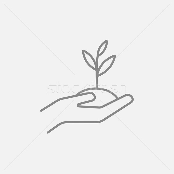 Hands holding seedling in soil line icon. Stock photo © RAStudio