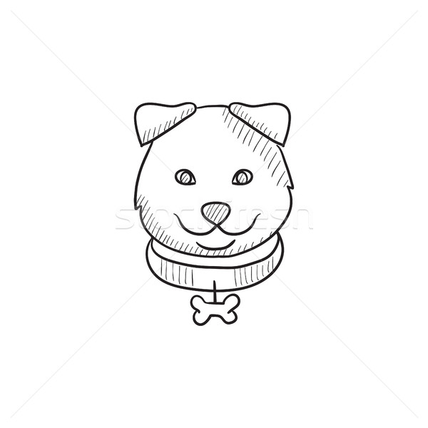 Dog head sketch icon. Stock photo © RAStudio