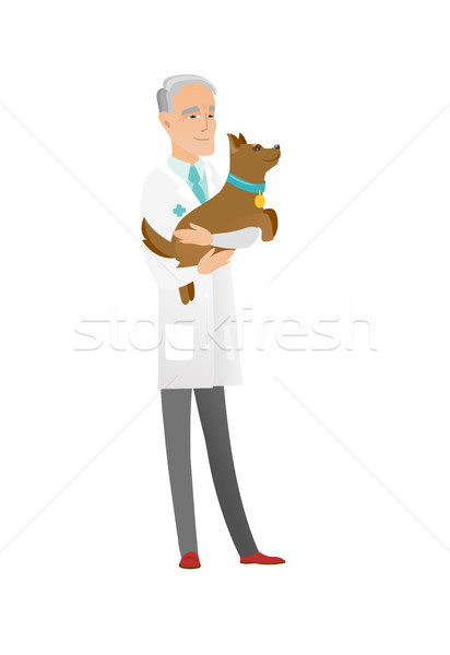 Senior caucasian veterinarian with dog in hands. Stock photo © RAStudio