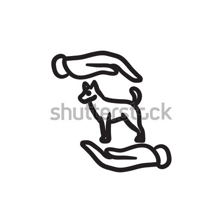 Pet care sketch icon. Stock photo © RAStudio