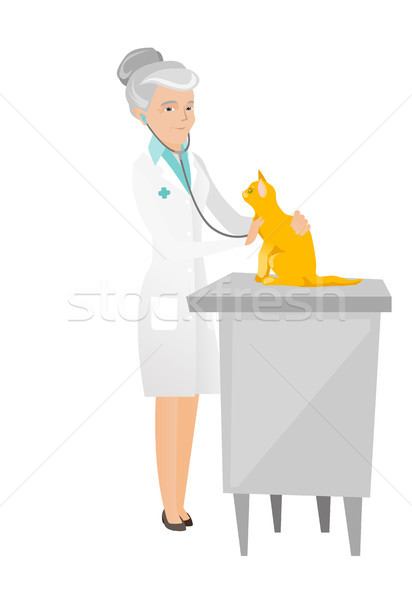 Senior caucasian veterinarian examining cat. Stock photo © RAStudio