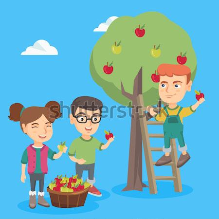 Two caucasian boys eating broccoli. Stock photo © RAStudio