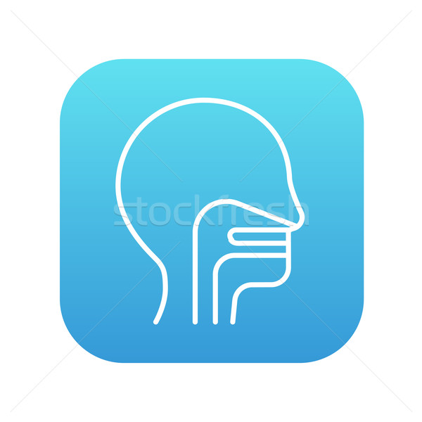 Stock photo: Human head with ear, nose, throat system line icon.