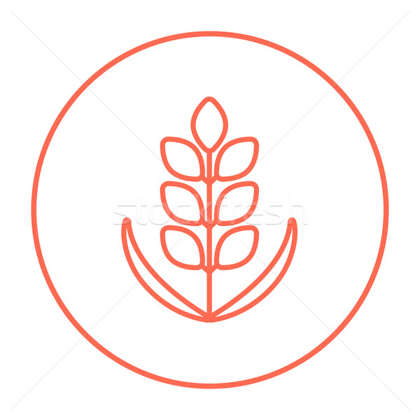 Stock photo: Wheat line icon.
