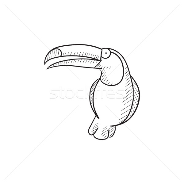 Toucan sketch icon. Stock photo © RAStudio