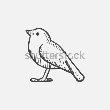 Oiseau croquis icône vecteur isolé dessinés à la main [[stock_photo]] © RAStudio