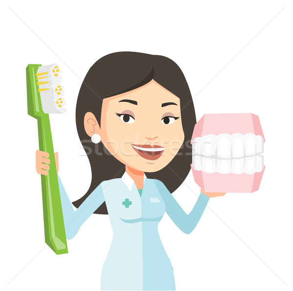 Dentista dentales mandíbula modelo cepillo de dientes jóvenes Foto stock © RAStudio