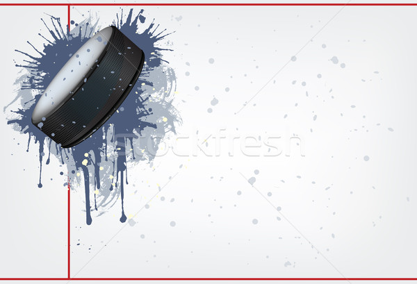 Hockey Puck Stock photo © RAStudio