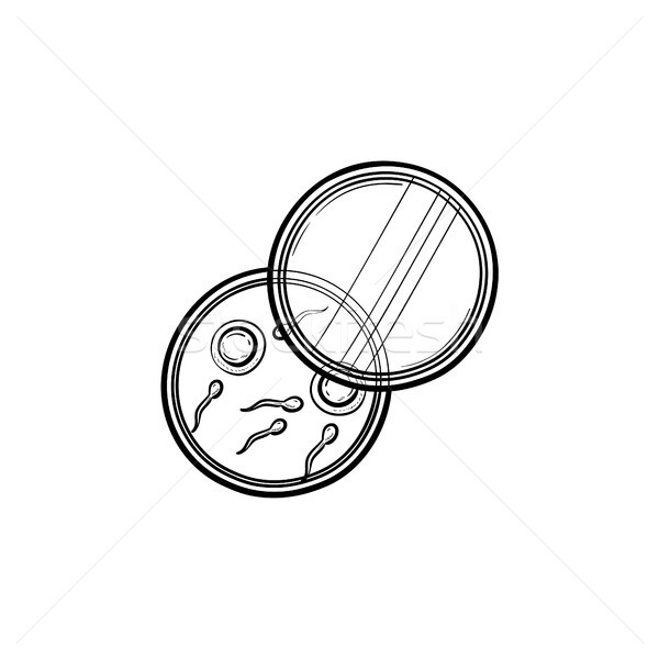 Sperms and eggs in petri dish hand drawn outline doodle icon. Stock photo © RAStudio