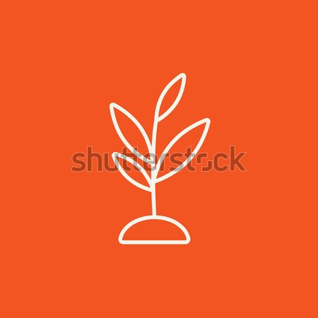 Sprout line icon. Stock photo © RAStudio