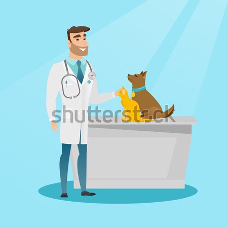 Senior caucasian veterinarian examining dog. Stock photo © RAStudio