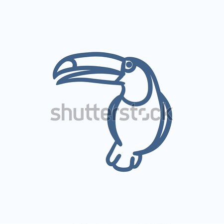 Toucan sketch icon. Stock photo © RAStudio