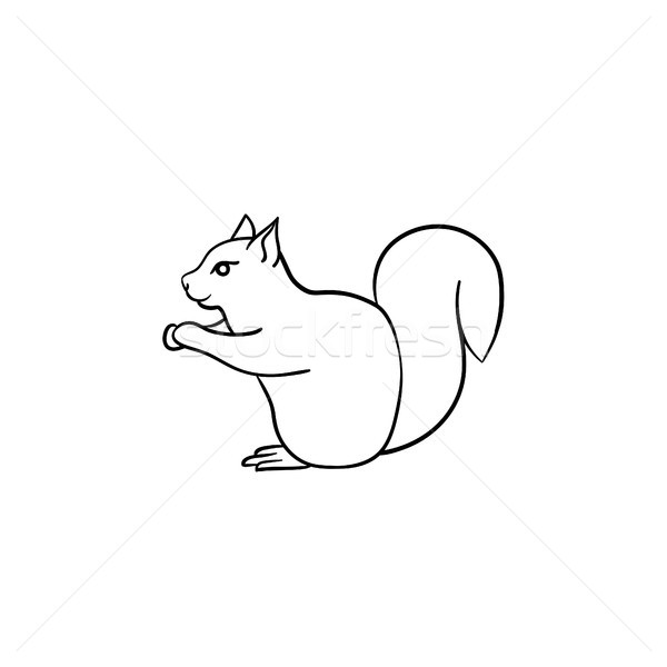 Stockfoto: Eekhoorn · schets · icon · schets · doodle