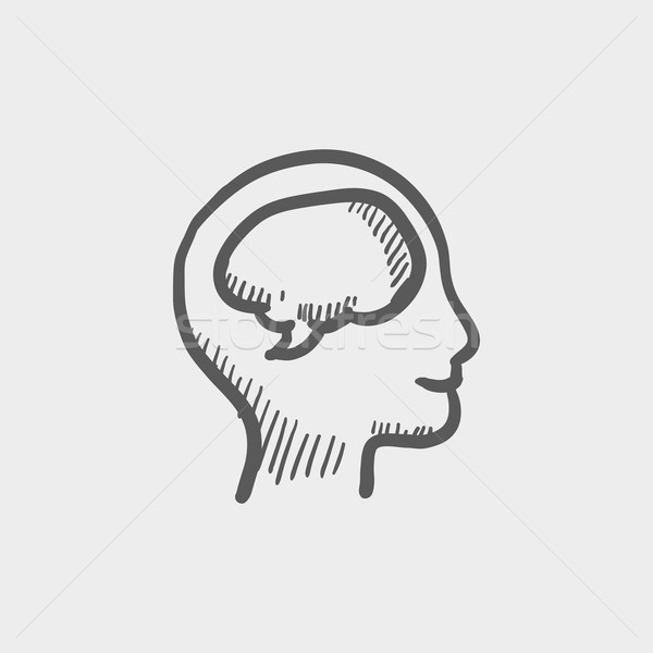Humaine tête cerveau croquis icône web [[stock_photo]] © RAStudio