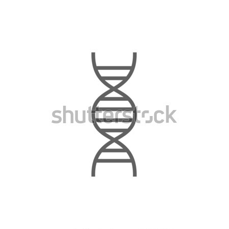 DNA line icon. Stock photo © RAStudio