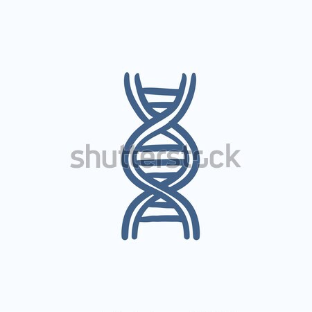 DNA sketch icon. Stock photo © RAStudio