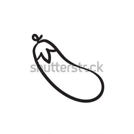 Eggplant Drawing Vector Art Icons and Graphics for Free Download