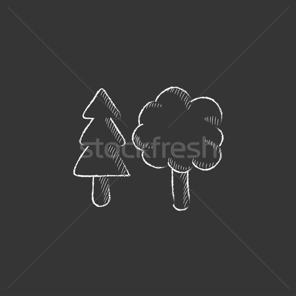 Fák rajzolt kréta ikon kézzel rajzolt vektor Stock fotó © RAStudio