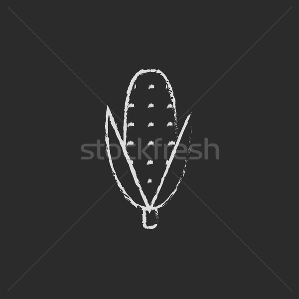 Corn icon drawn in chalk. Stock photo © RAStudio