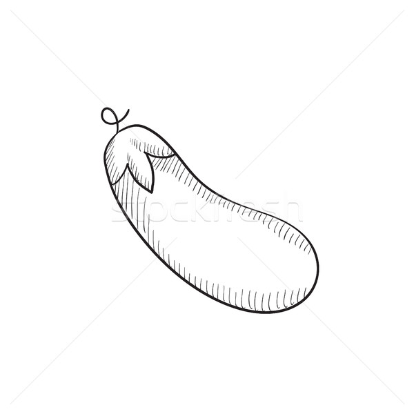 Eggplant sketch icon. Stock photo © RAStudio