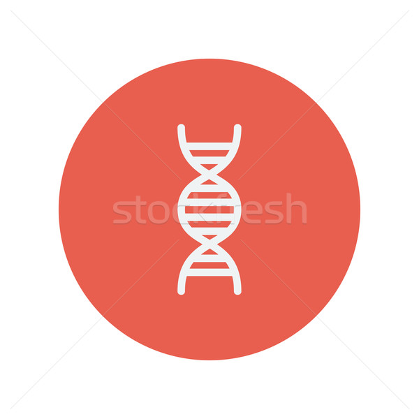 DNA ince hat ikon web hareketli Stok fotoğraf © RAStudio
