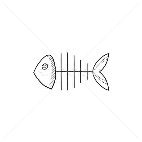 Fish skeleton sketch icon. Stock photo © RAStudio