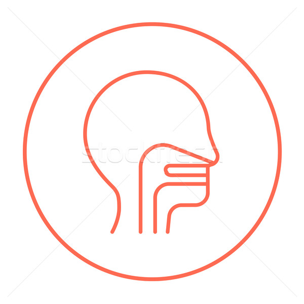 Human head with ear, nose, throat system line icon. Stock photo © RAStudio
