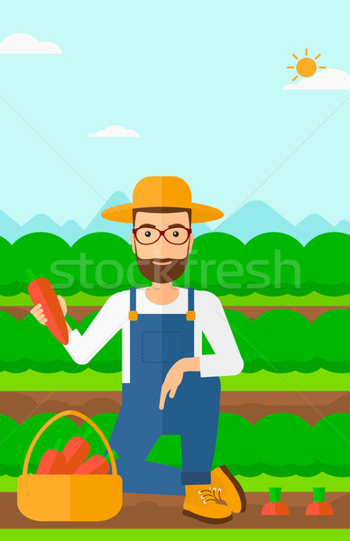 Agricultor recoger zanahorias hombre barba Foto stock © RAStudio