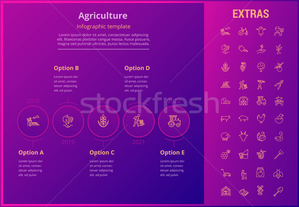 Stock fotó: Mezőgazdaság · infografika · sablon · elemek · ikonok · lehetőségek