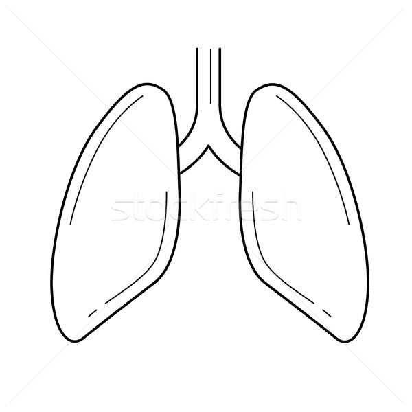 Lungs line icon. Stock photo © RAStudio