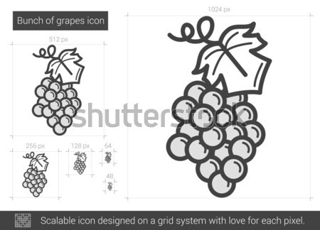 Bunch of grapes sketch icon. Stock photo © RAStudio