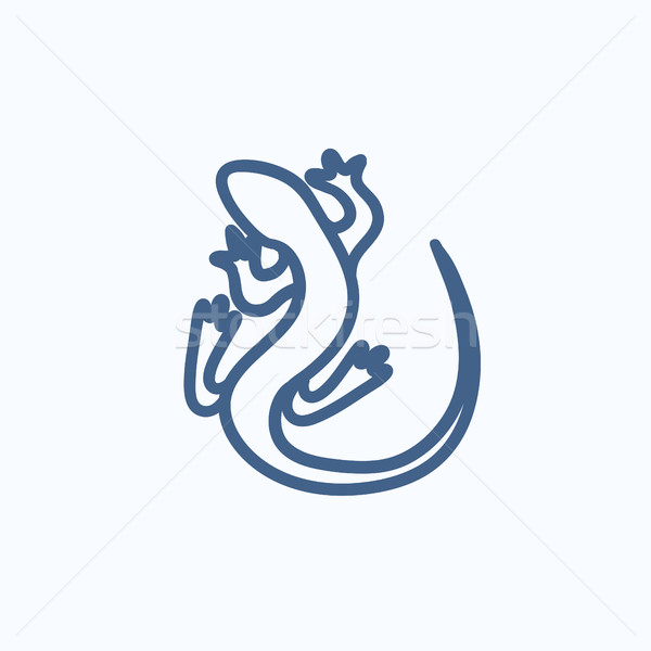 Lizard sketch icon. Stock photo © RAStudio