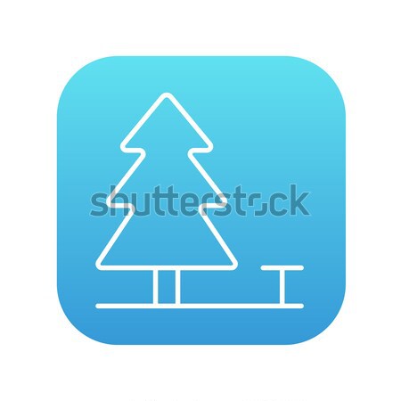 Pine tree thin line icon Stock photo © RAStudio