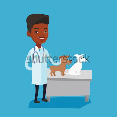 Senior caucasian veterinarian examining dog. Stock photo © RAStudio